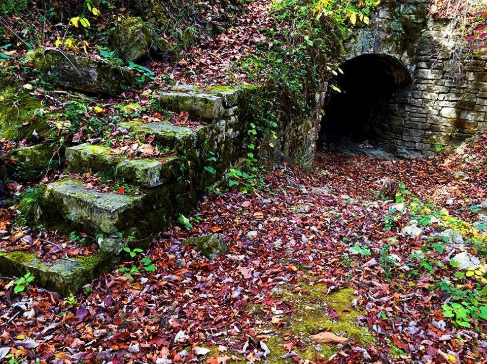 The Palace Hotel And Bath House Spa Eureka Springs Exteriör bild